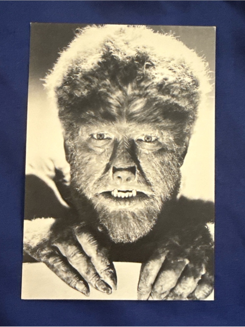 Vintage Monsters Universal Studios The Wolf Man Post Card Classico San Francisco
